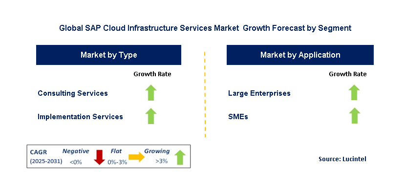SAP Cloud Infrastructure Services Market by Segment